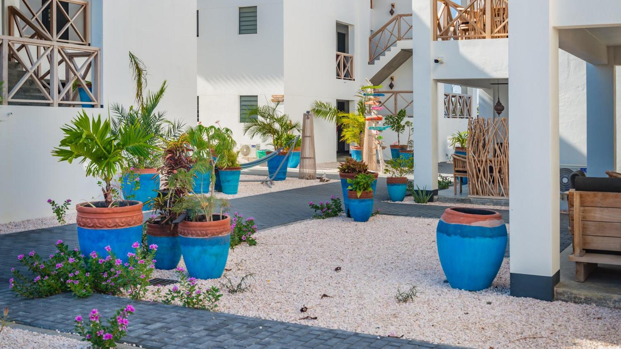 Bloozz Resort Bonaire 克拉伦代克 外观 照片